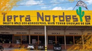 terra-nordeste